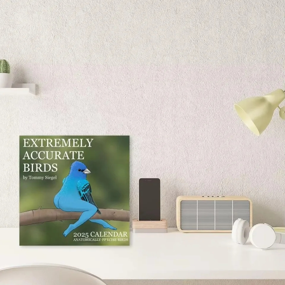 2025 Calendar Of Extremely Accurate Birds Easy Install Paper Wall Calendar Gift Multifunctional Home Decoration Schedule AliExpress 2025 Calendar Of Extremely Accurate Birds Easy Install Paper Wall Calendar Gift Multifunctional Home Decoration Schedule AliExpress