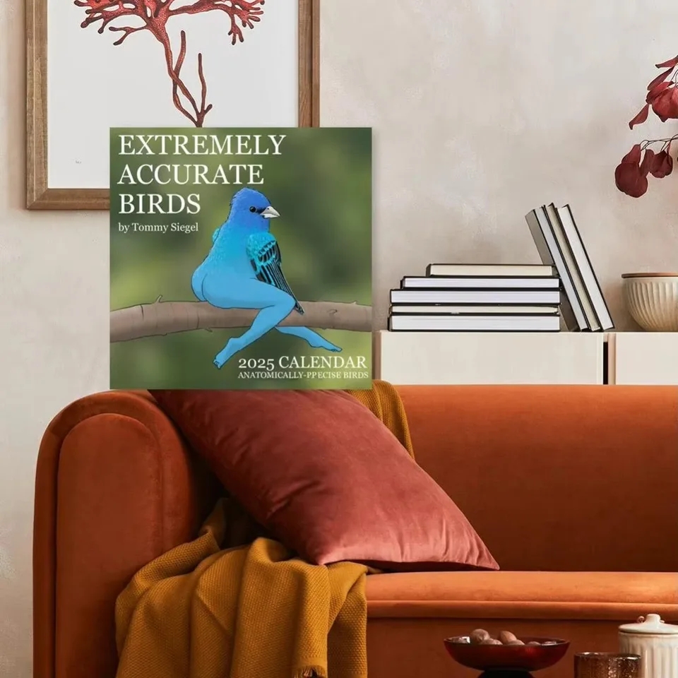 2025 Calendar Of Extremely Accurate Birds Easy Install Paper Wall Calendar Gift Multifunctional Home Decoration Schedule AliExpress 2025 Calendar Of Extremely Accurate Birds Easy Install Paper Wall Calendar Gift Multifunctional Home Decoration Schedule AliExpress