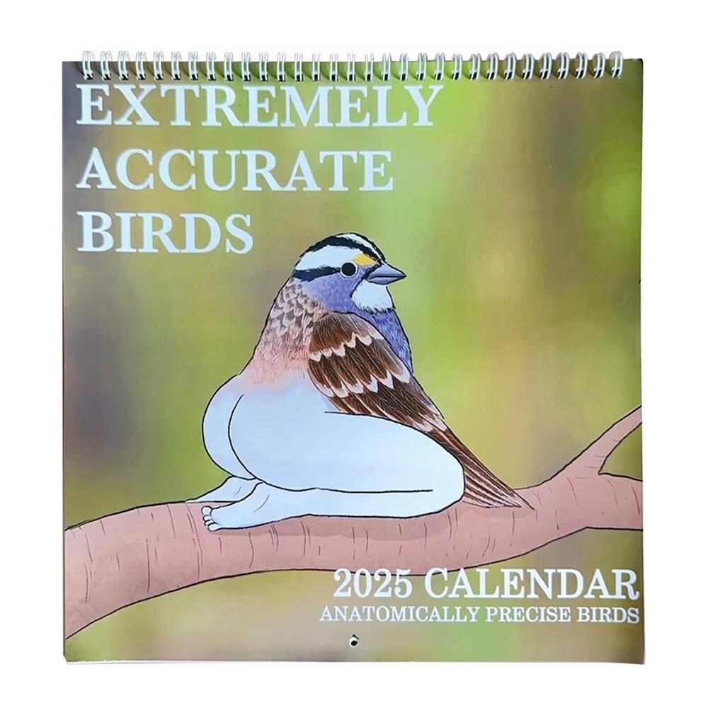 2025 Funny Birds Extremely Accurate Birds Calendar Poster Easy Install Home Deco EBay 2025 Funny Birds Extremely Accurate Birds Calendar Poster Easy Install Home Deco EBay