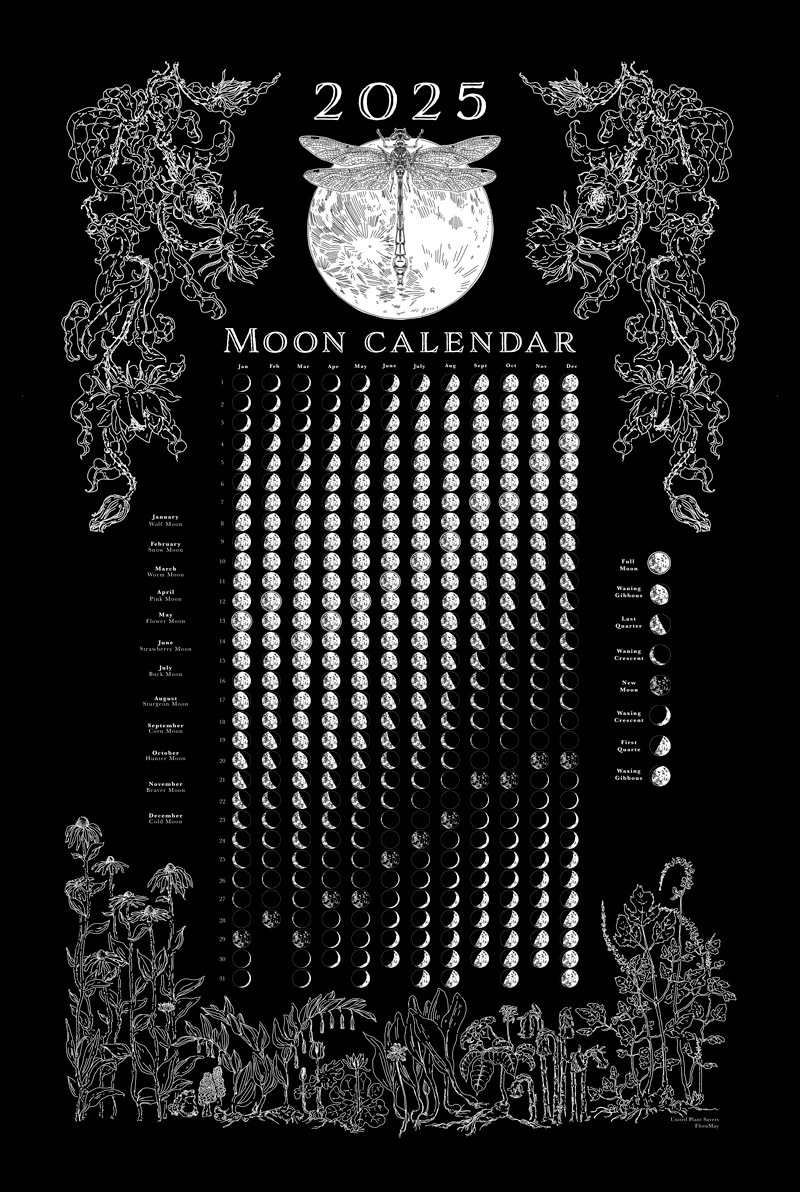 2025 Moon Phase Calendar Download PNG United Plant Savers 2025 Moon Phase Calendar Download PNG United Plant Savers