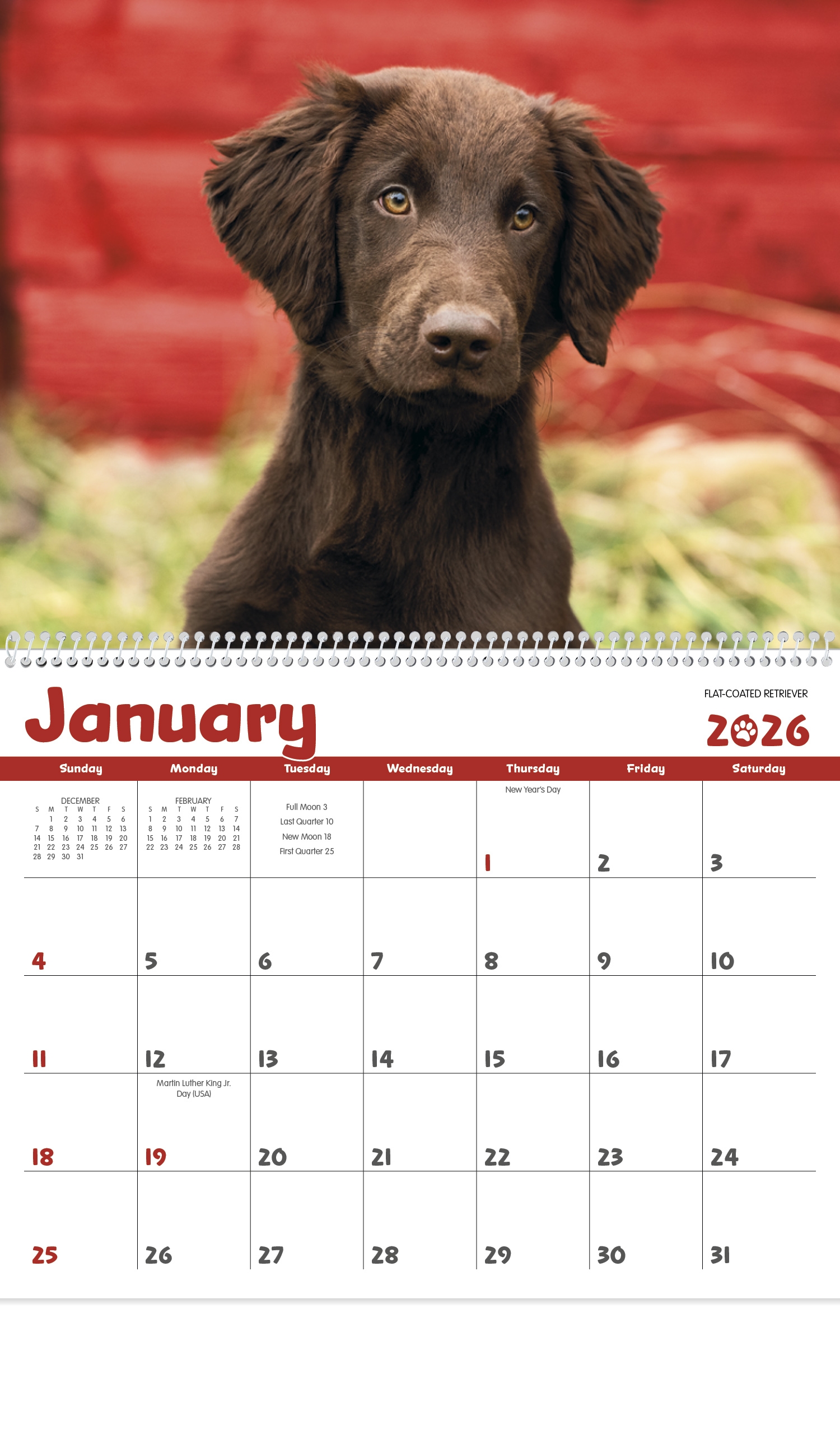 2025 Paw Print Calendar Dogs Printable 2025 Paw Print Calendar Dogs Printable