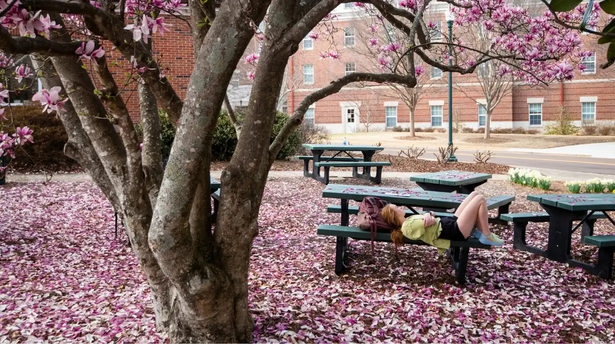 Academic Calendars Ole Miss Academic Calendars Ole Miss