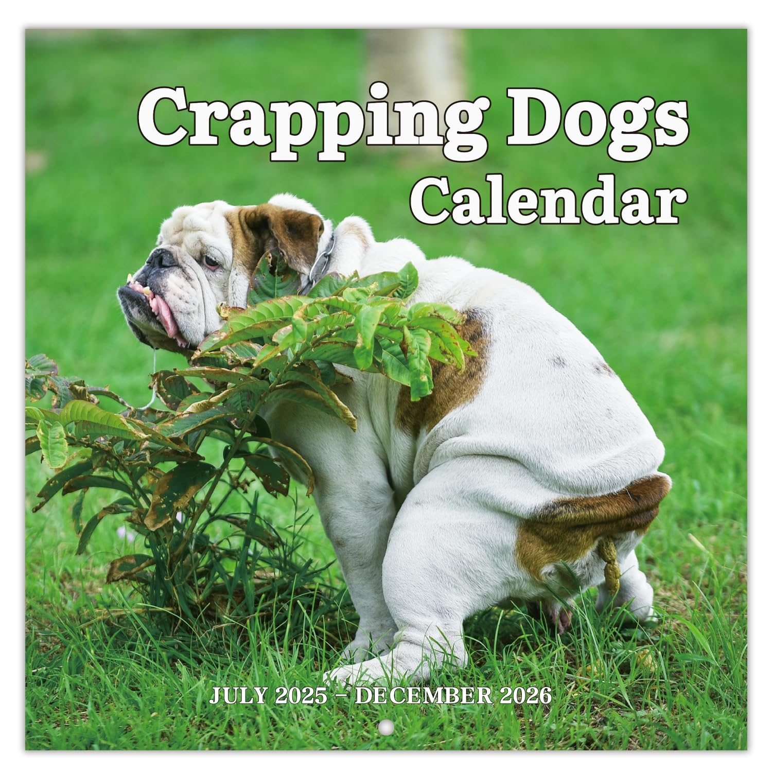 Amazon 2025 2026 Wall Calendar 18 Monthly Pooping Dogs Calendar 2025 2026 Jul 2025 Dec 2026 Funny Dog Calendar Gag Gifts 11 8 X 23 6 Open 11 8 X 11 8 Closed Perfect White Elephant Gift Funny Office Products Amazon 2025 2026 Wall Calendar 18 Monthly Pooping Dogs Calendar 2025 2026 Jul 2025 Dec 2026 Funny Dog Calendar Gag Gifts 11 8 X 23 6 Open 11 8 X 11 8 Closed Perfect White Elephant Gift Funny Office Products