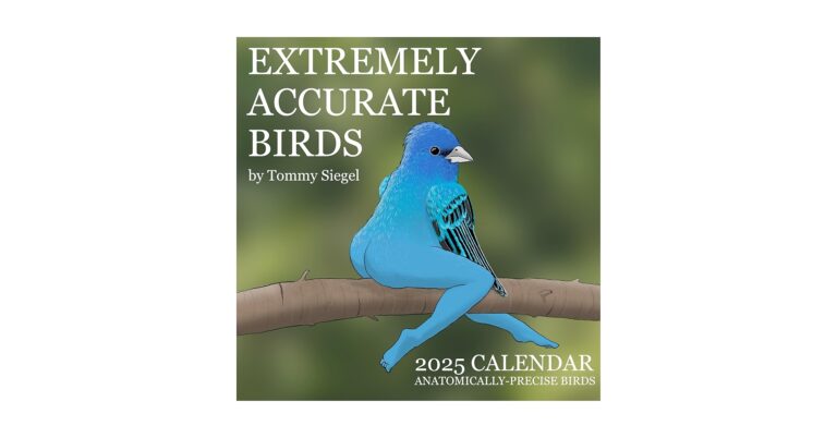 Amazon 2025 Calendar Of Extremely Accurate Birds By Tommy Siegel Office Products