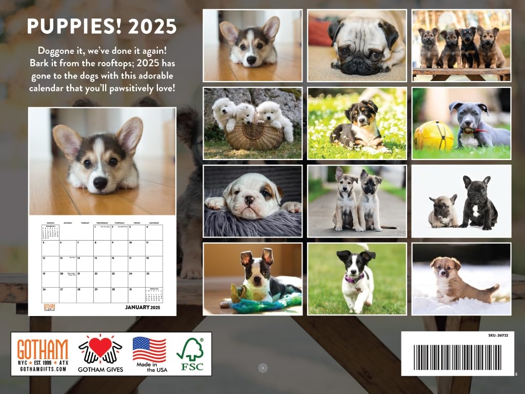 Amazon Puppy Calendar 2025 Dog Puppies Monthly Wall Calender 12 Month American Made In The USA Office Products Amazon Puppy Calendar 2025 Dog Puppies Monthly Wall Calender 12 Month American Made In The USA Office Products