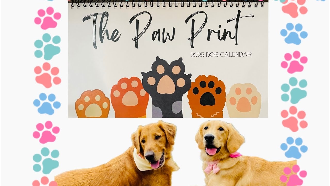 Bailey The Golden Is Featured In The Paw Print 2025 Calendar YouTube Bailey The Golden Is Featured In The Paw Print 2025 Calendar YouTube