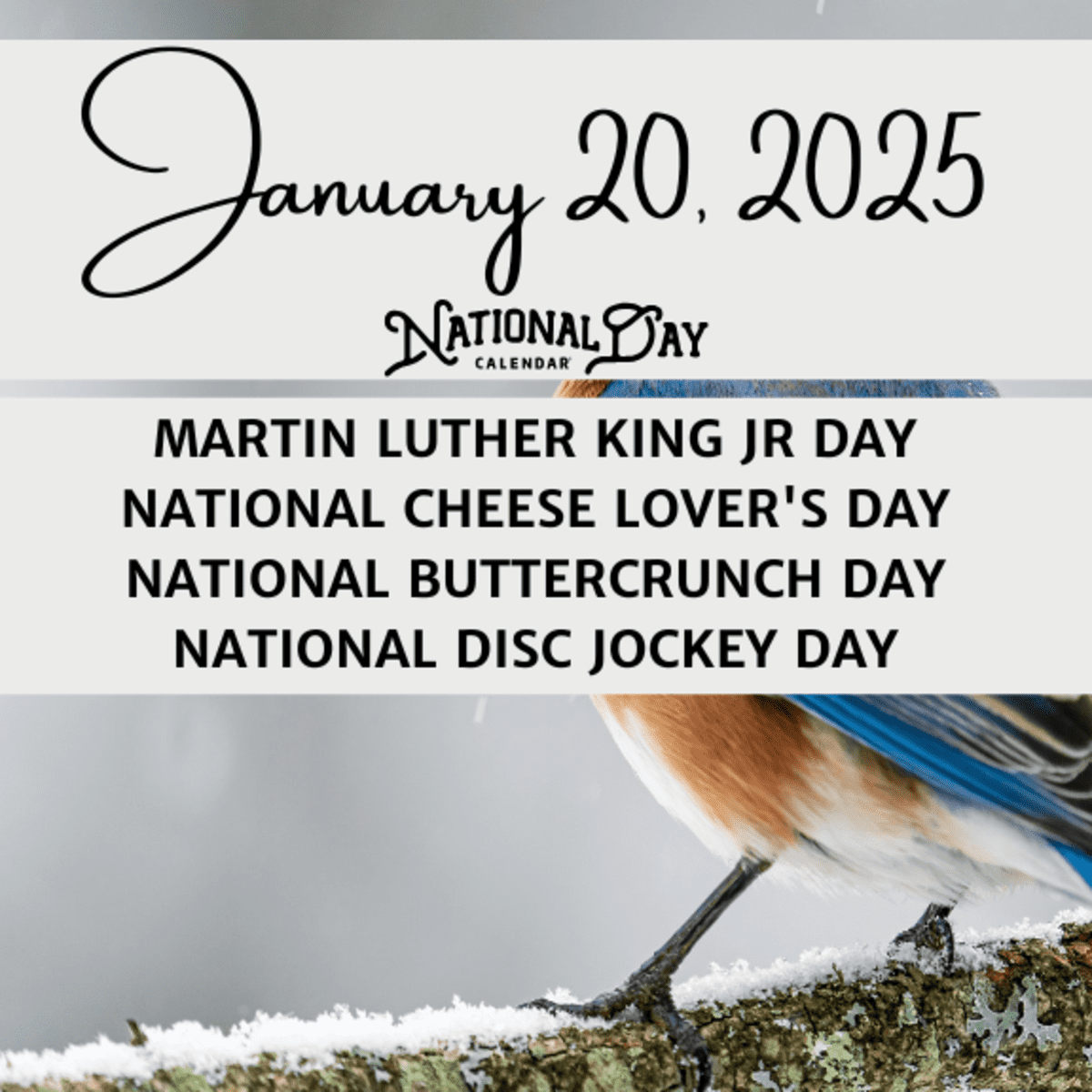JANUARY 20 2025 MARTIN LUTHER KING JR DAY NATIONAL CHEESE LOVER S DAY NATIONAL BUTTERCRUNCH DAY NATIONAL DISC JOCKEY DAY National Day Calendar