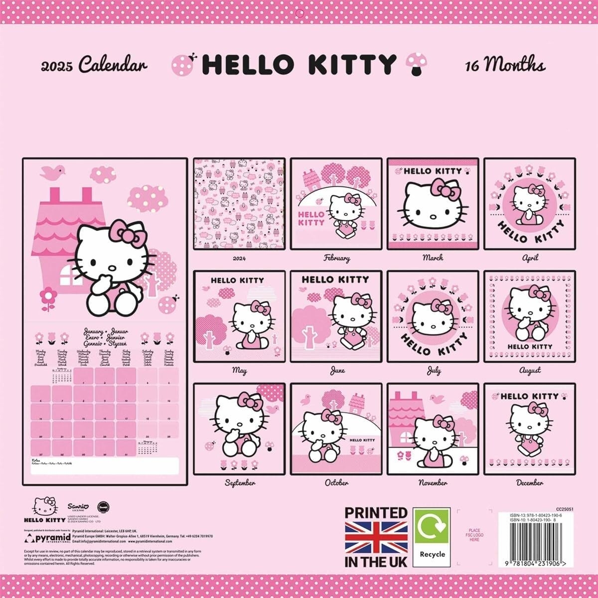 Sanrio Characters 2025 Wall Calendar Hello Kitty Official 30x30 Shipping From JP EBay