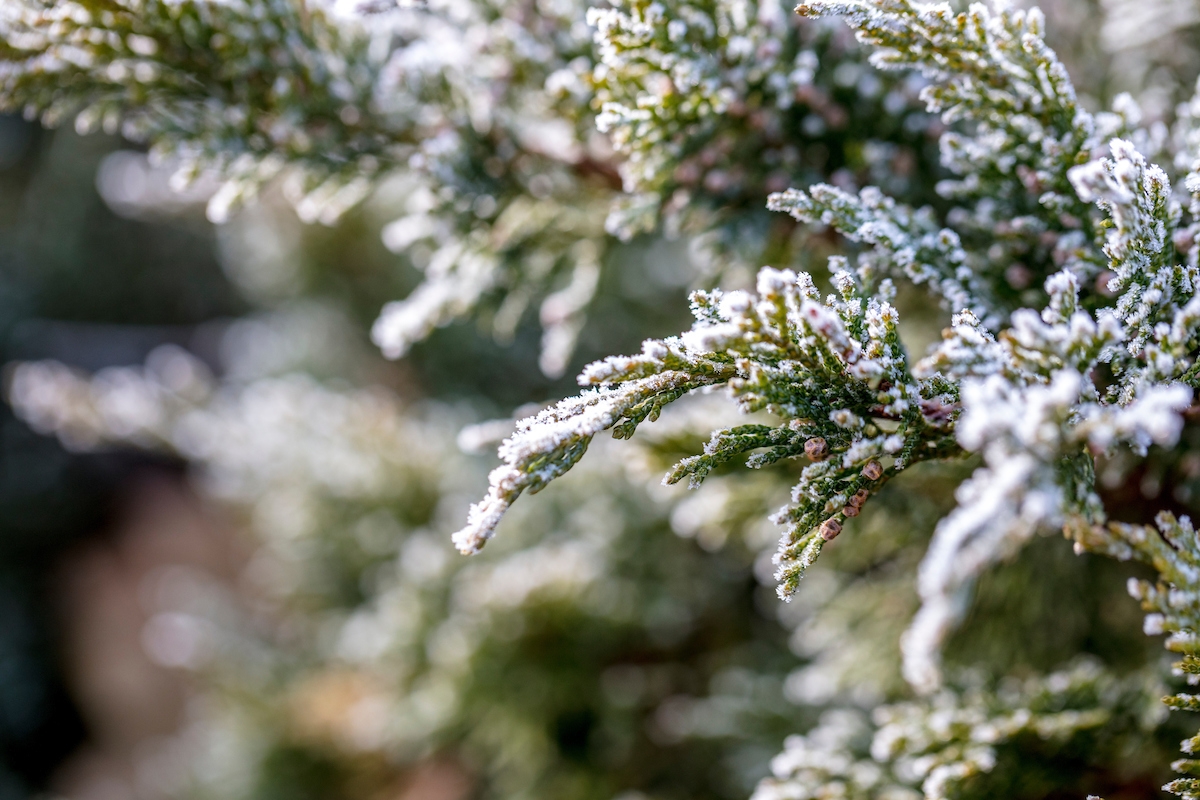 uvu spring 2025 calendar uvu spring 2025 calendar